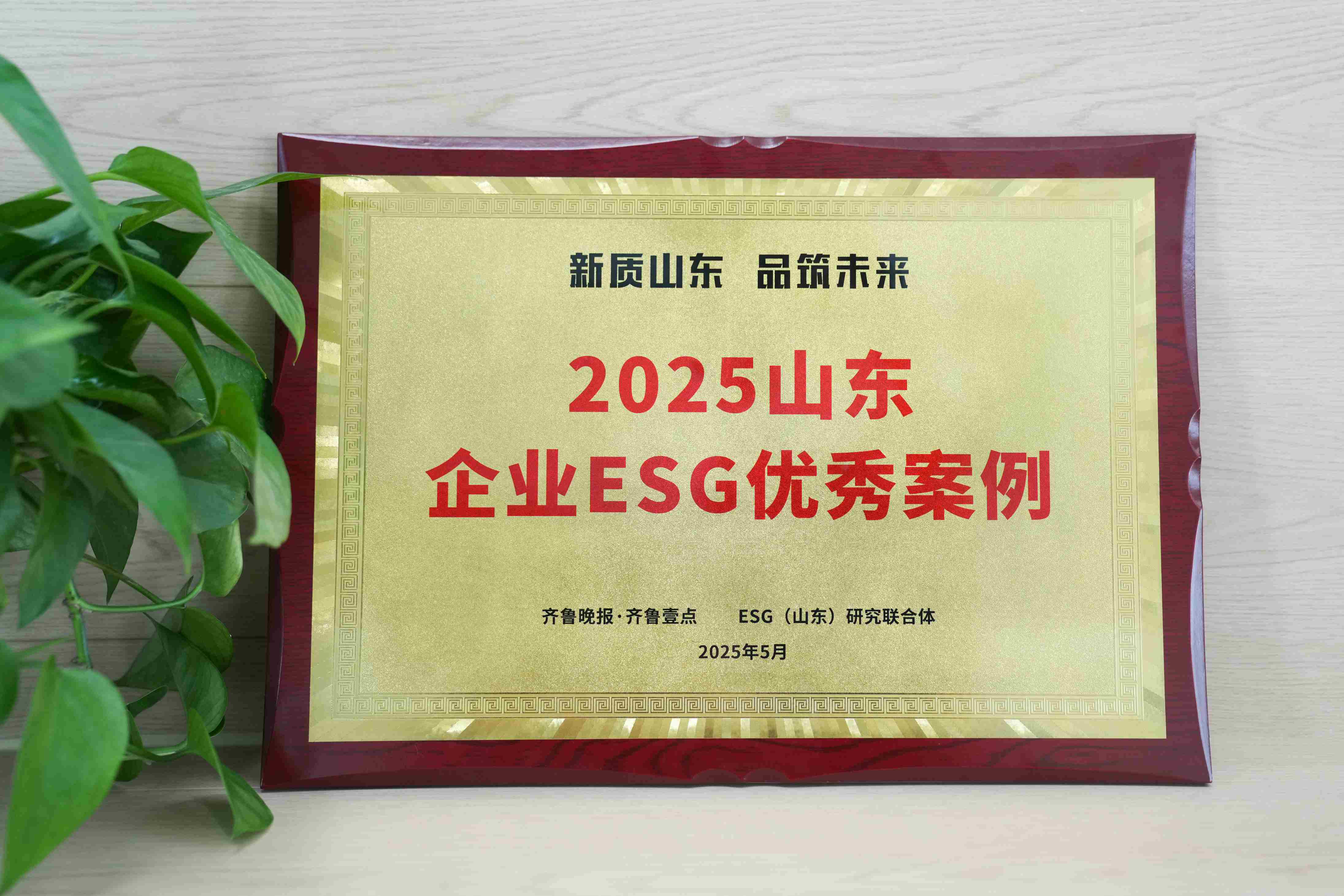 ʱҽѡ2025ɽҵESG참